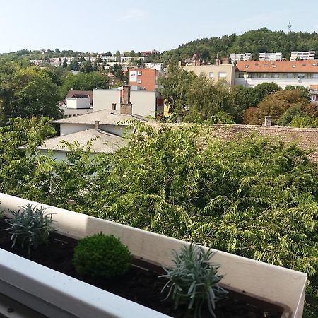 Malnas Macska Apartman Сексард Екстер'єр фото