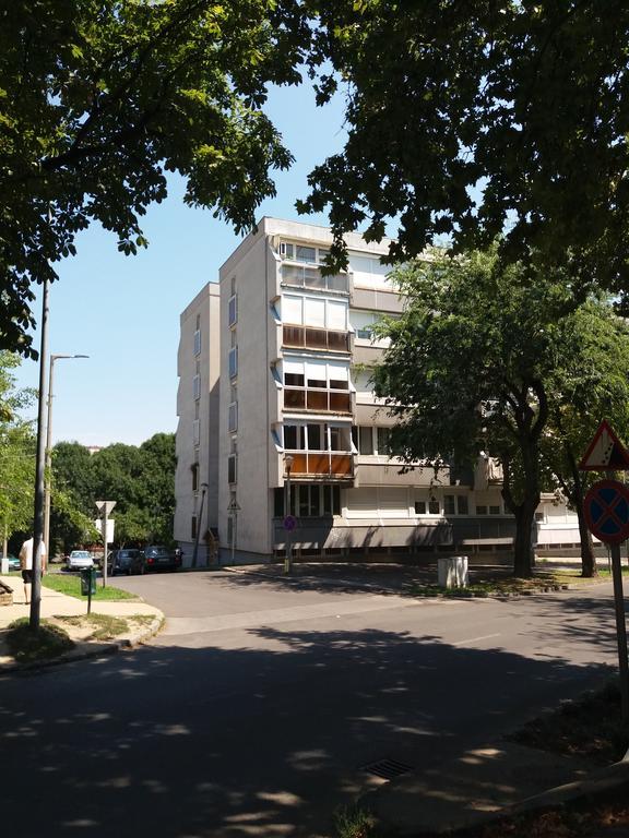 Malnas Macska Apartman Сексард Екстер'єр фото