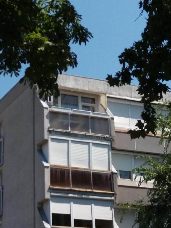 Malnas Macska Apartman Сексард Екстер'єр фото