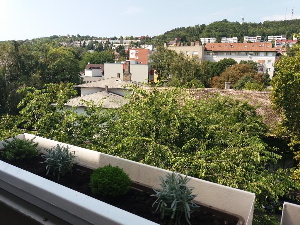 Malnas Macska Apartman Сексард Екстер'єр фото